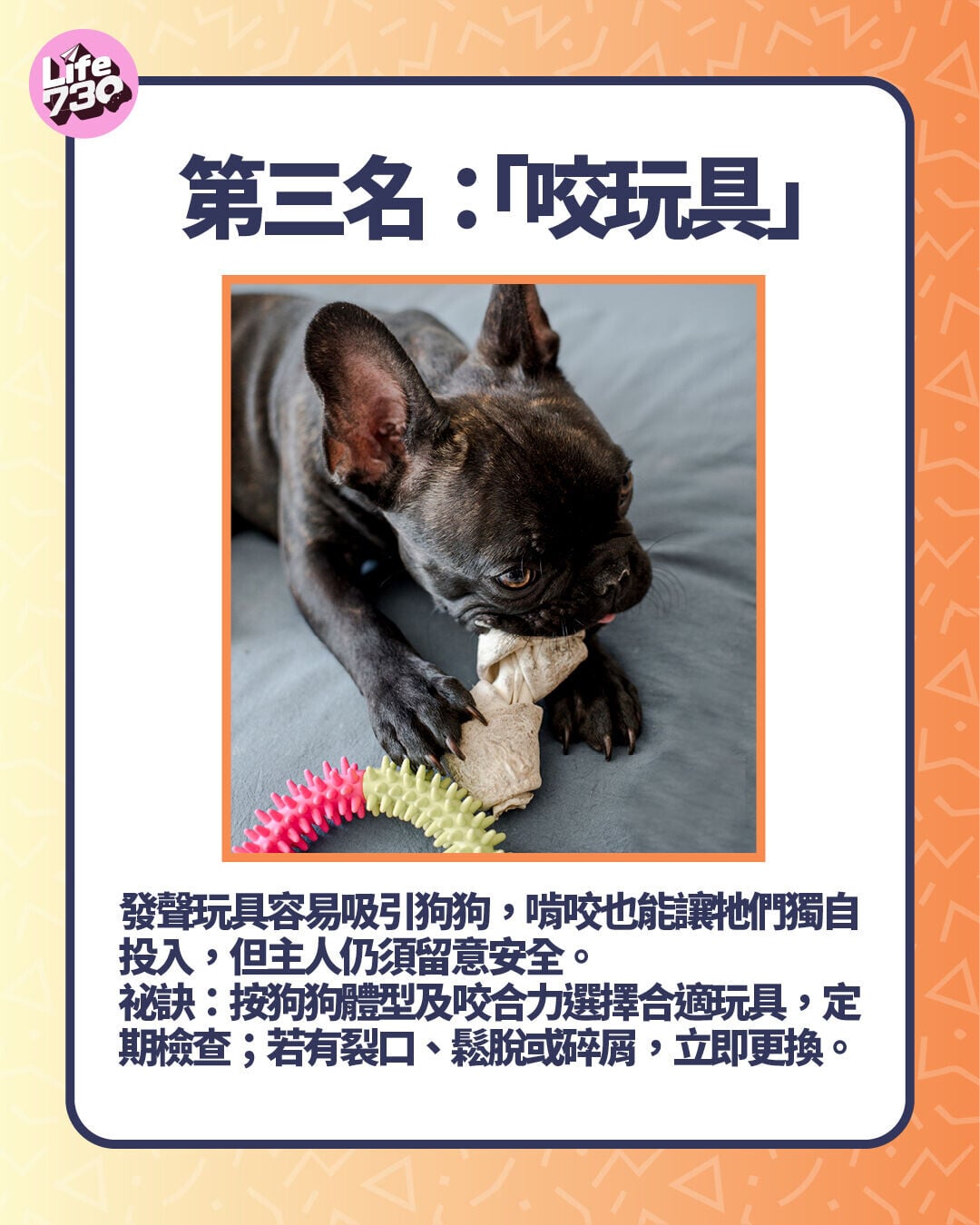 第三名:「咬玩具」