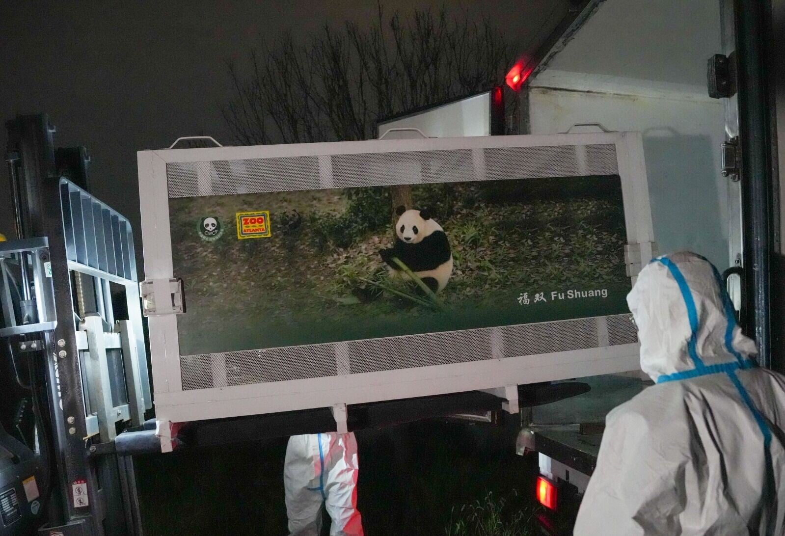 平平、福雙今凌晨從四川成都機場出發,前往美國亞特蘭大動物園。(新華社)