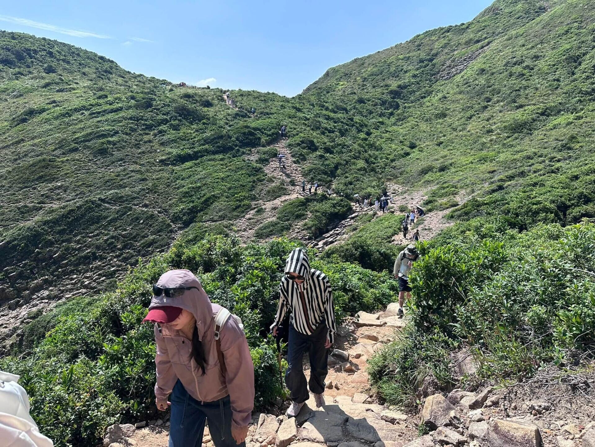 破邊洲段山徑及觀景台遊人秩序井然。(漁護署FB圖片)