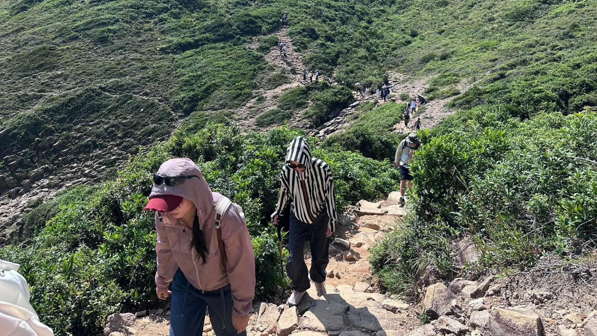 破邊洲段山徑及觀景台遊人秩序井然。(漁護署FB圖片)