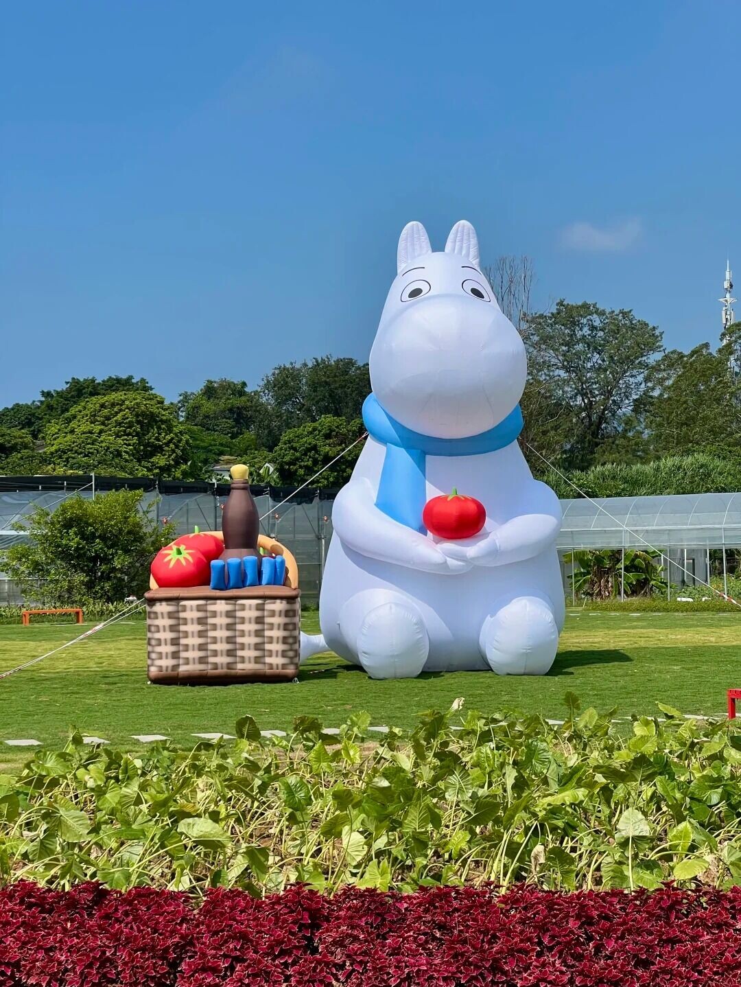 芬兰国宝级IP姆明🎭登陆深圳童话农场 3 Tomy爱出游(国庆南宁) 來自小紅書網頁版
