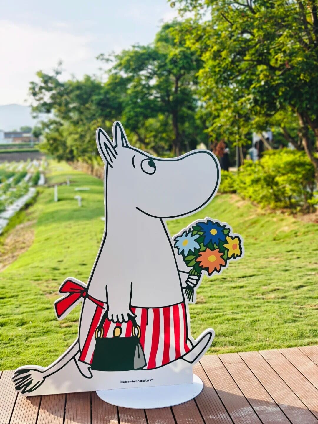 所米农场|深圳大鹏新晋放空好去处#姆明 14 张小菜的百宝袋 來自小紅書網頁版