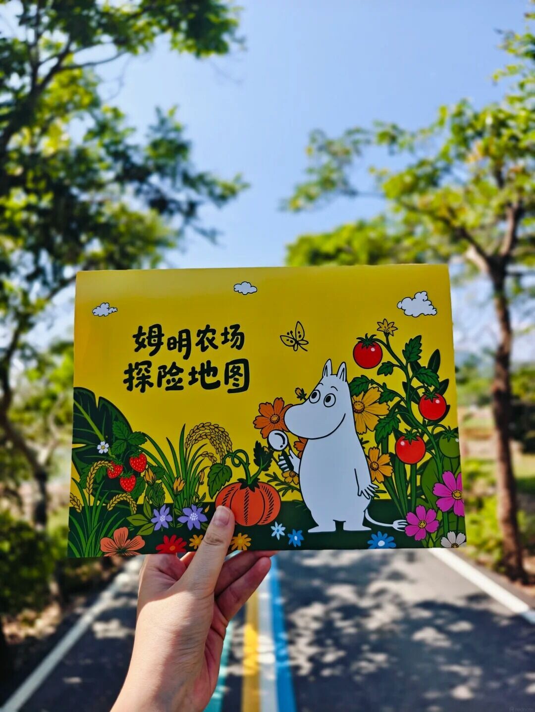 所米农场|深圳大鹏新晋放空好去处#姆明 2 张小菜的百宝袋 來自小紅書網頁版