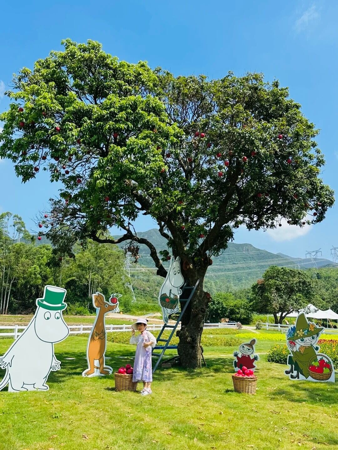 深圳居然有这么可爱的农场‼️娃玩得可开心了 6 花脚猫summer 來自小紅書網頁版