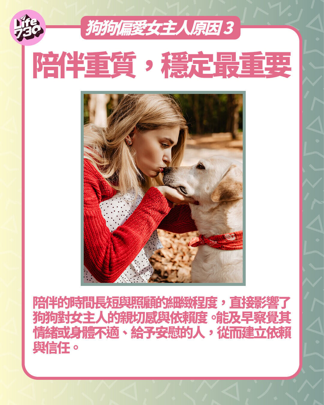 狗狗偏愛女主人原因3. 陪伴重質不重量