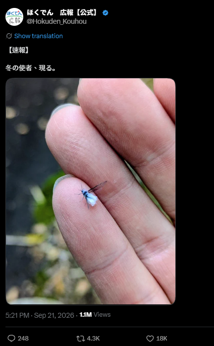 日本北海道「冬之使者」現身 傳說10天內會下雪!網民:咁早