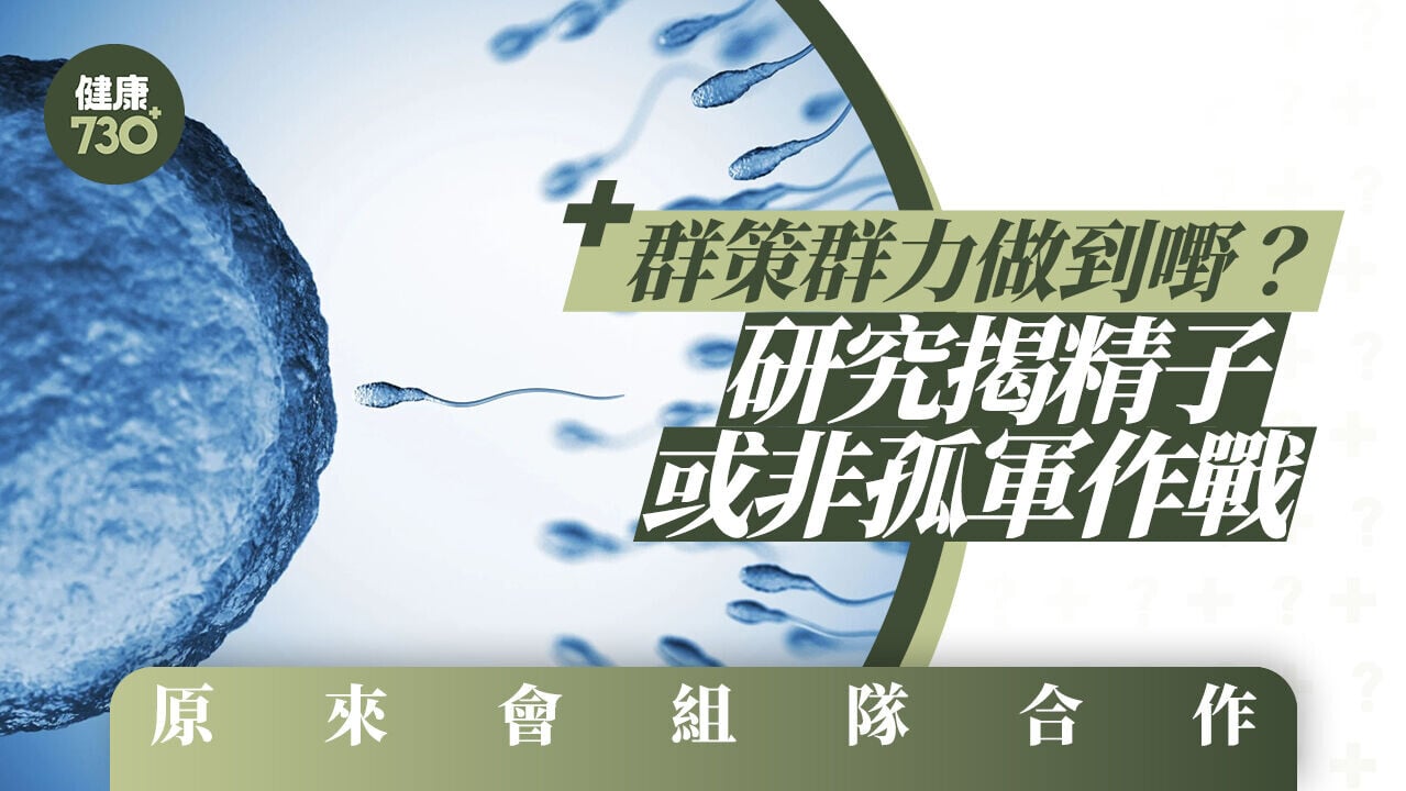 群策群力做到嘢？ 研究揭精子或非孤軍作戰 原來會組隊合作