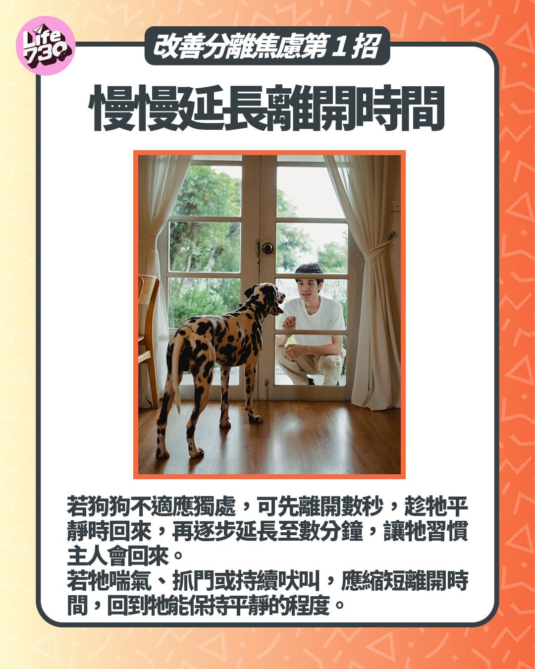 改善分離焦慮第1招:慢慢延長離開時間
