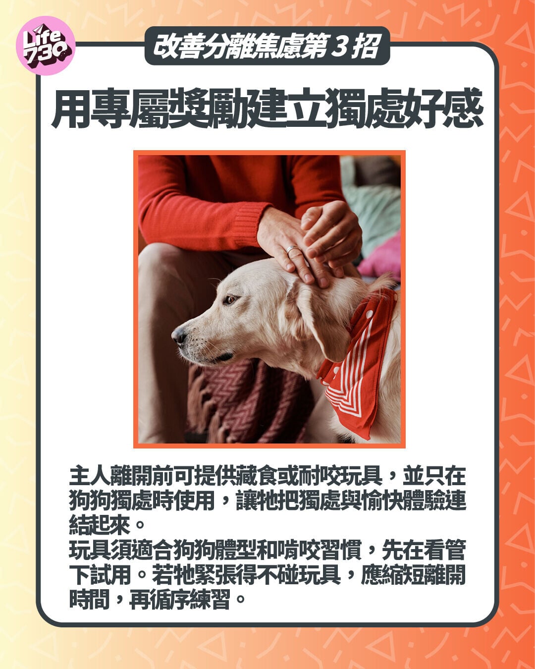改善分離焦慮第3招:用專屬獎勵建立獨處好感