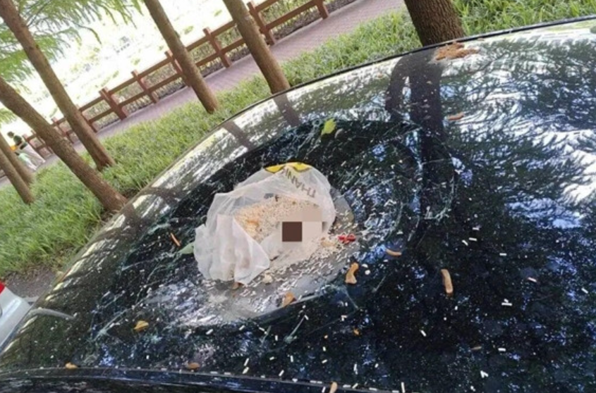 上海一名男子將垃圾從17樓窗戶拋下,擊中一架Tesla Model Y電動車,導致天窗破損。事後,該男子還向人工智能(AI)「請教」脫責策略,最終仍被公安識破(網上圖片)