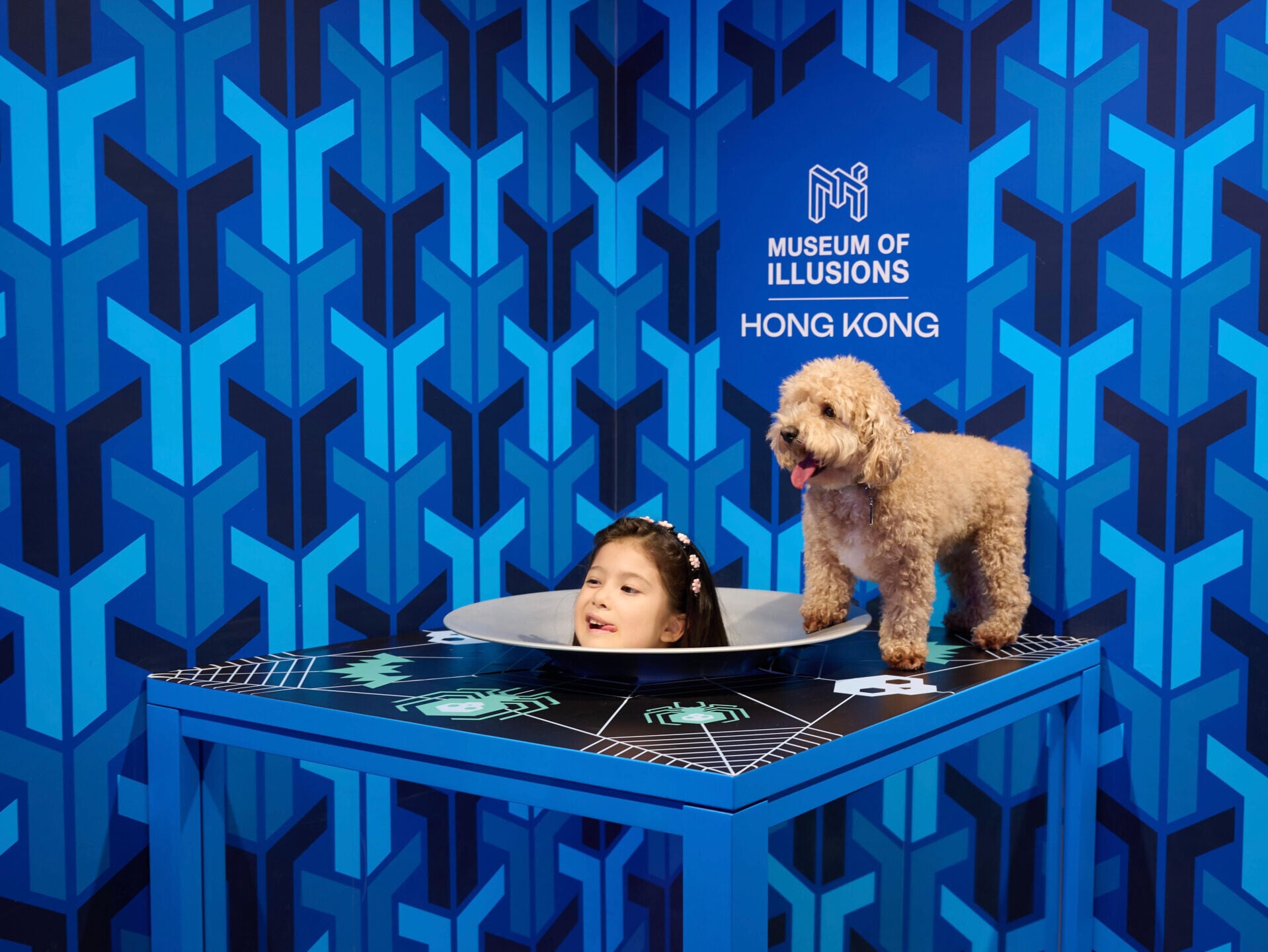 Head on a Platter Credit Museum of Illusions Hong Kong