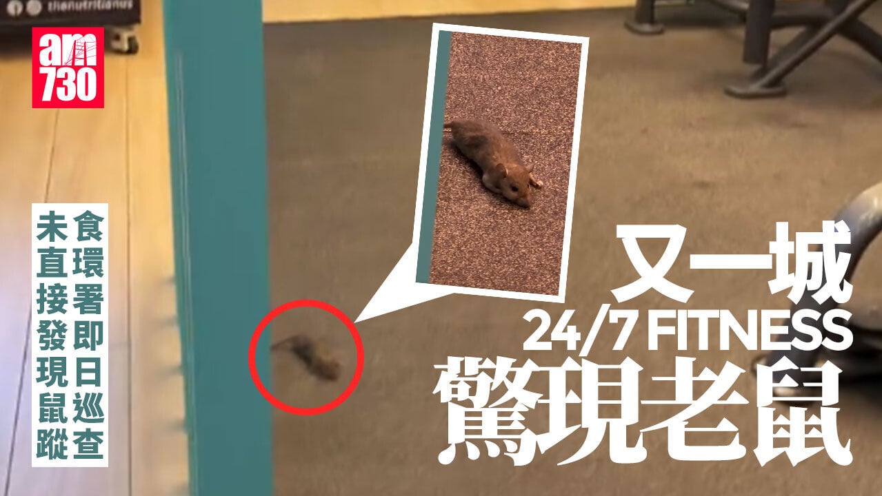 又一城24/7 FITNESS出現老鼠　食環署即日巡查　發消除蟲鼠通知