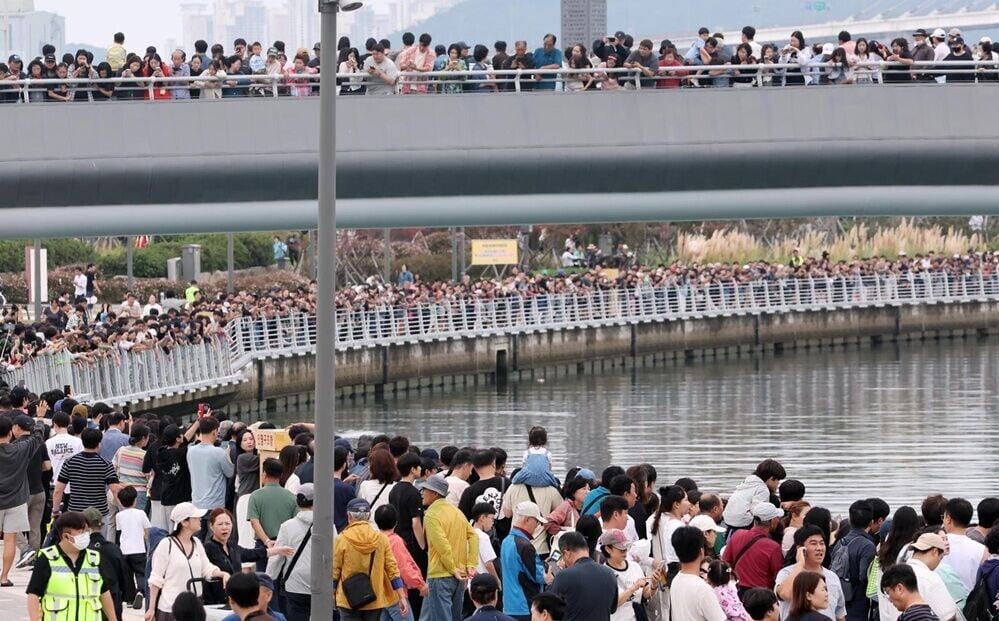 中秋4天連假有48.3萬人次「追鯊」。(X)