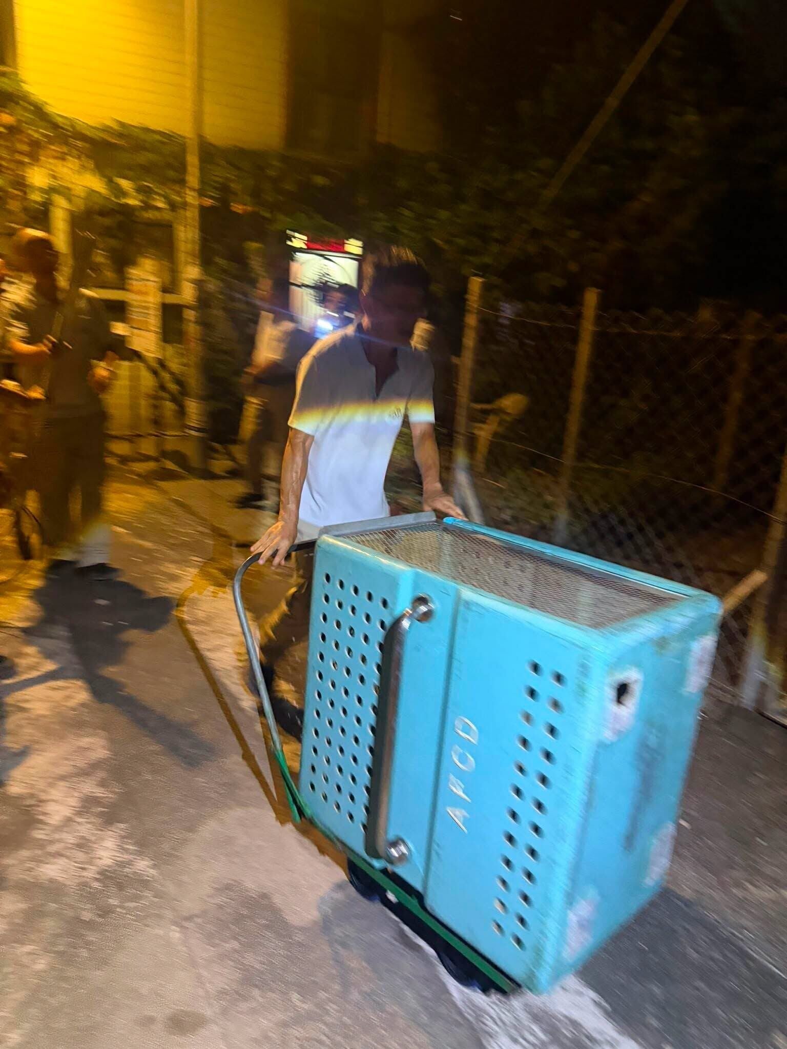 831479461 4941465379413747 4213669165570643956 n
