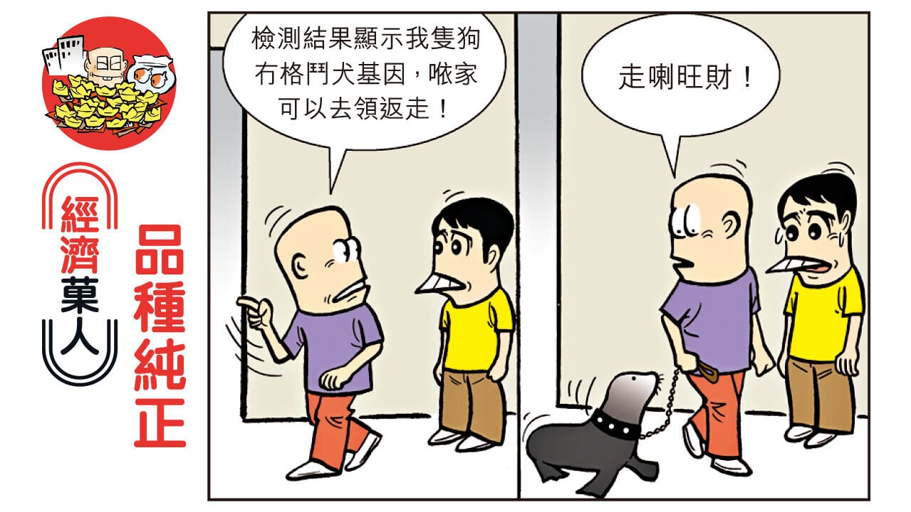 甘小文（版權所有，請勿轉載。）