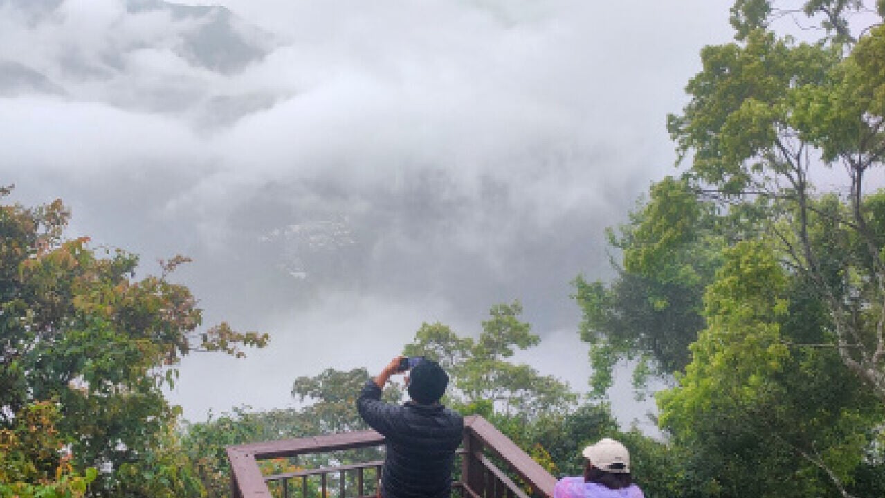 「導山」新行業