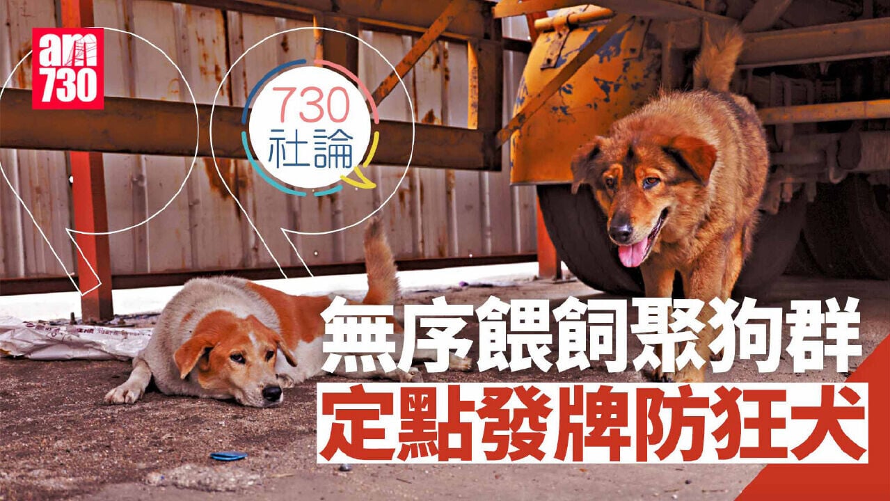 無序餵飼聚狗群 定點發牌防狂犬