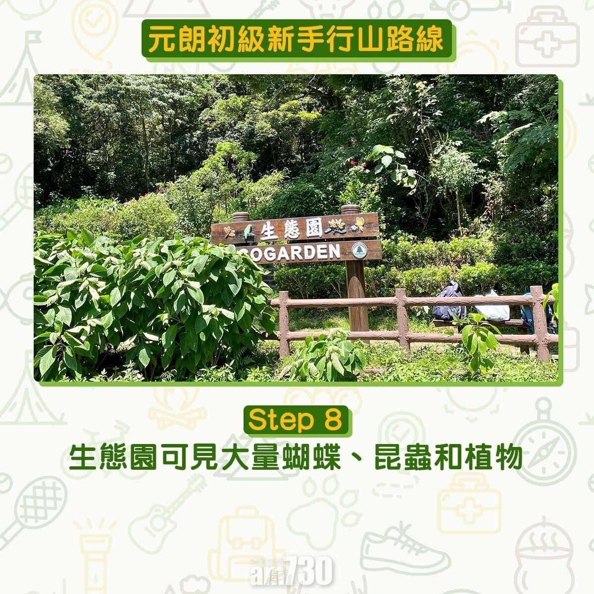 生態園可見大量蝴蝶、昆蟲和植物