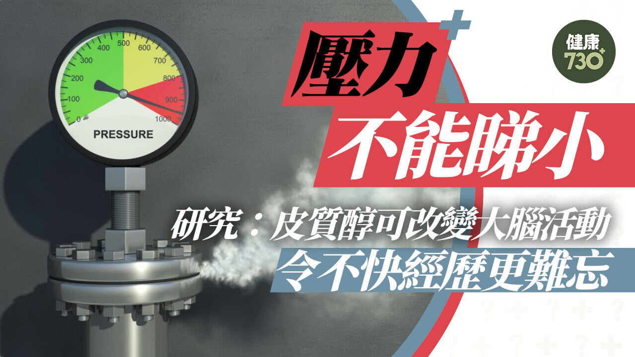 壓力不能睇小 研究：皮質醇可改變大腦活動 令不快經歷更難忘壓力不能睇小 研究：皮質醇可改變大腦活動 令不快經歷更難忘