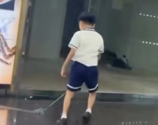 網傳片段,一名男童用繩吊起雀鳥並拖行(Threads)