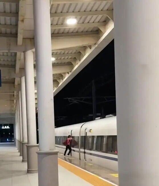 婦人知道車門關上,因兒子未趕及落車而用手擋車門