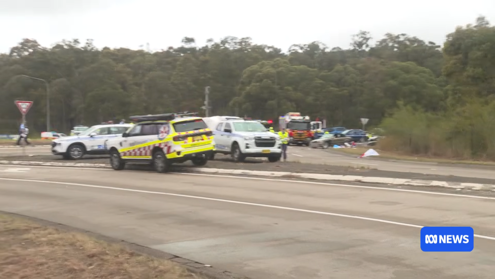 Several injured, driver arrested after car crashes into Knights fans in Newcastle ABC NEWS 1 39 screenshot