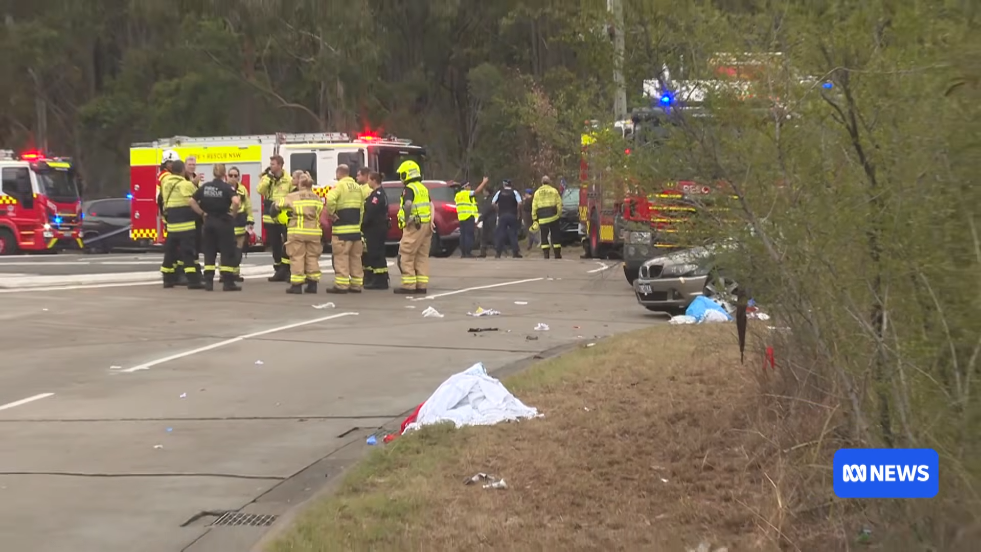 Several injured, driver arrested after car crashes into Knights fans in Newcastle ABC NEWS 1 24 screenshot