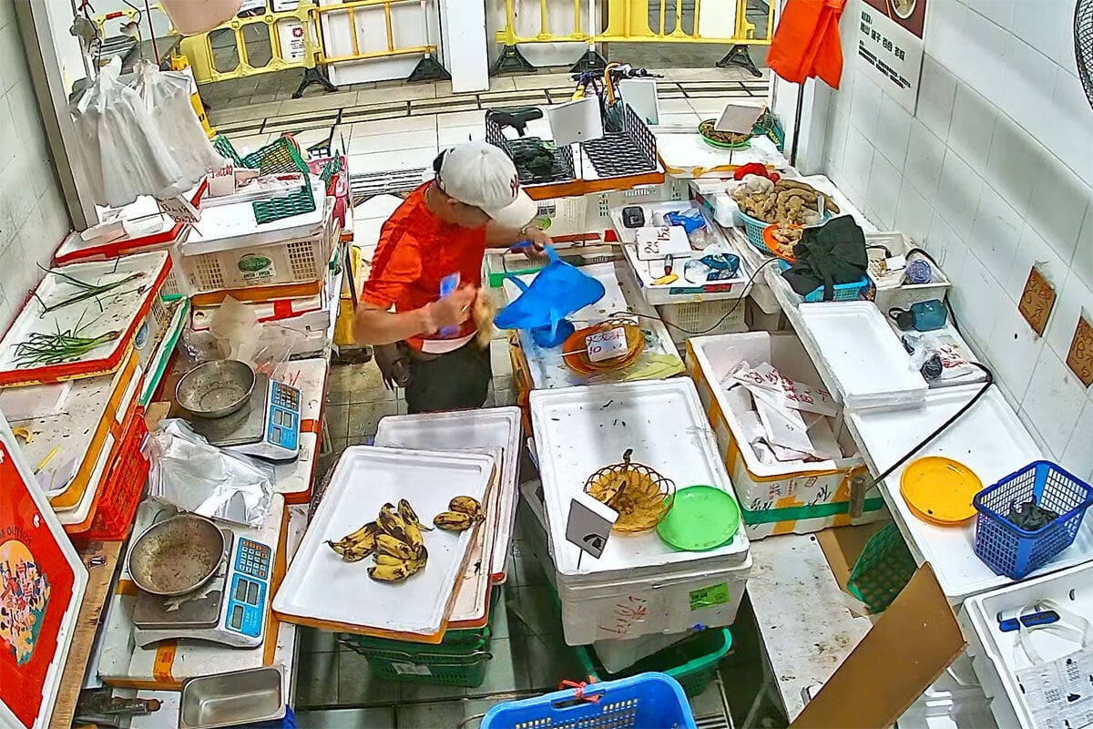 清濤苑街市一個檔口遇竊,賊人用店內取得的環保袋裝「戰利品」。(閉路電視片段截圖)