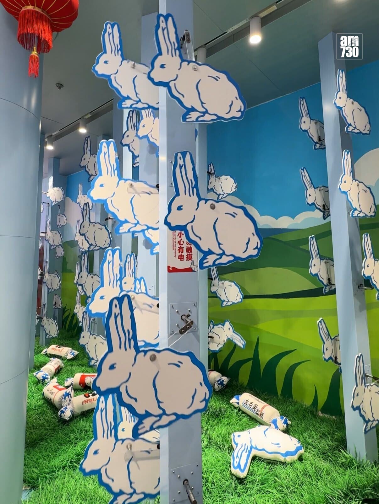 兔子打卡牆。