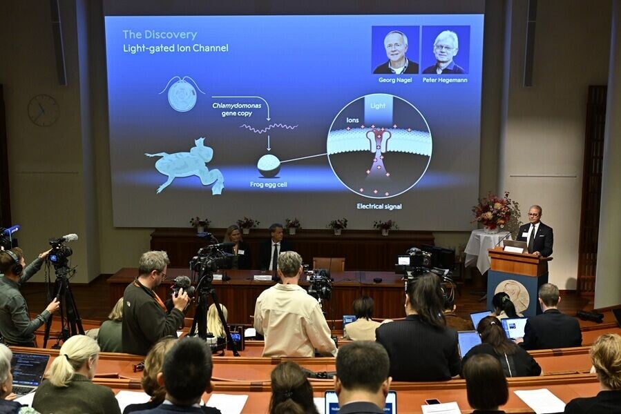 諾貝爾醫學獎由德國和美國3位科學家奪得