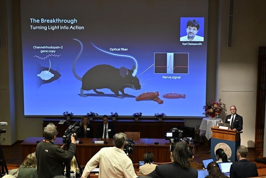 諾貝爾醫學獎由德國和美國3位科學家奪得