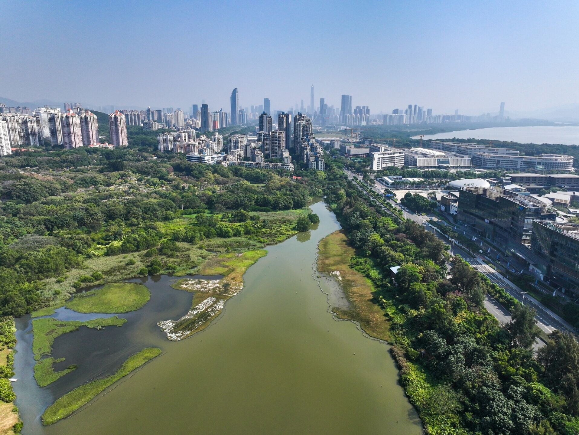 華僑城國家濕地公園是深圳首個國家濕地公園,也是中國唯一位於現代化大都會腹地的濱海紅樹林濕地