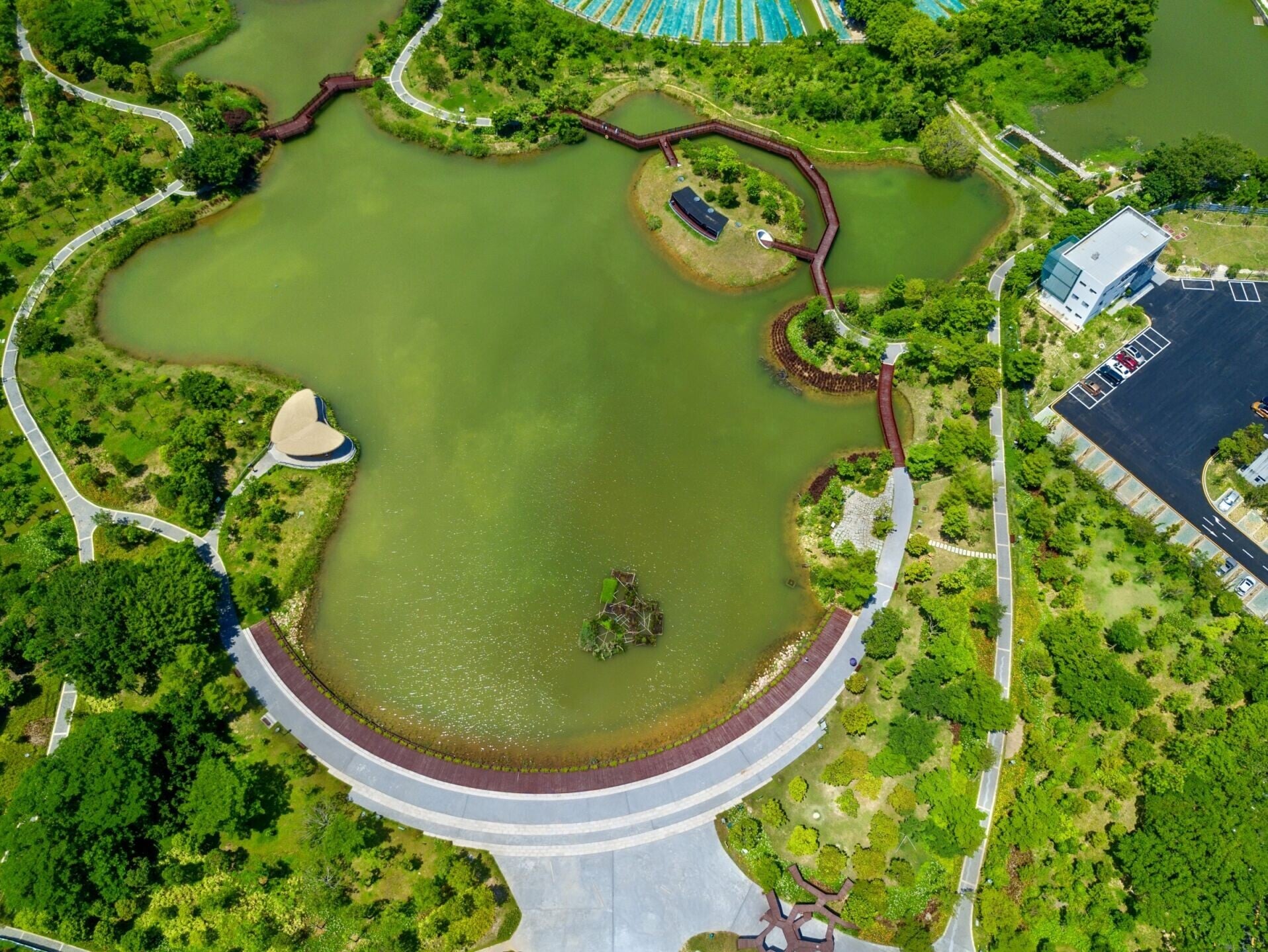 福田紅樹林生態公園有「深圳灣的小鑰匙」的美譽,與香港米埔自然保護區僅有一河之隔,西面緊貼着福田紅樹林自然保護區,是一個集科普教育、生態修復、休閒遊憩為一體的濕地公園。(圖片來源:視覺中國)