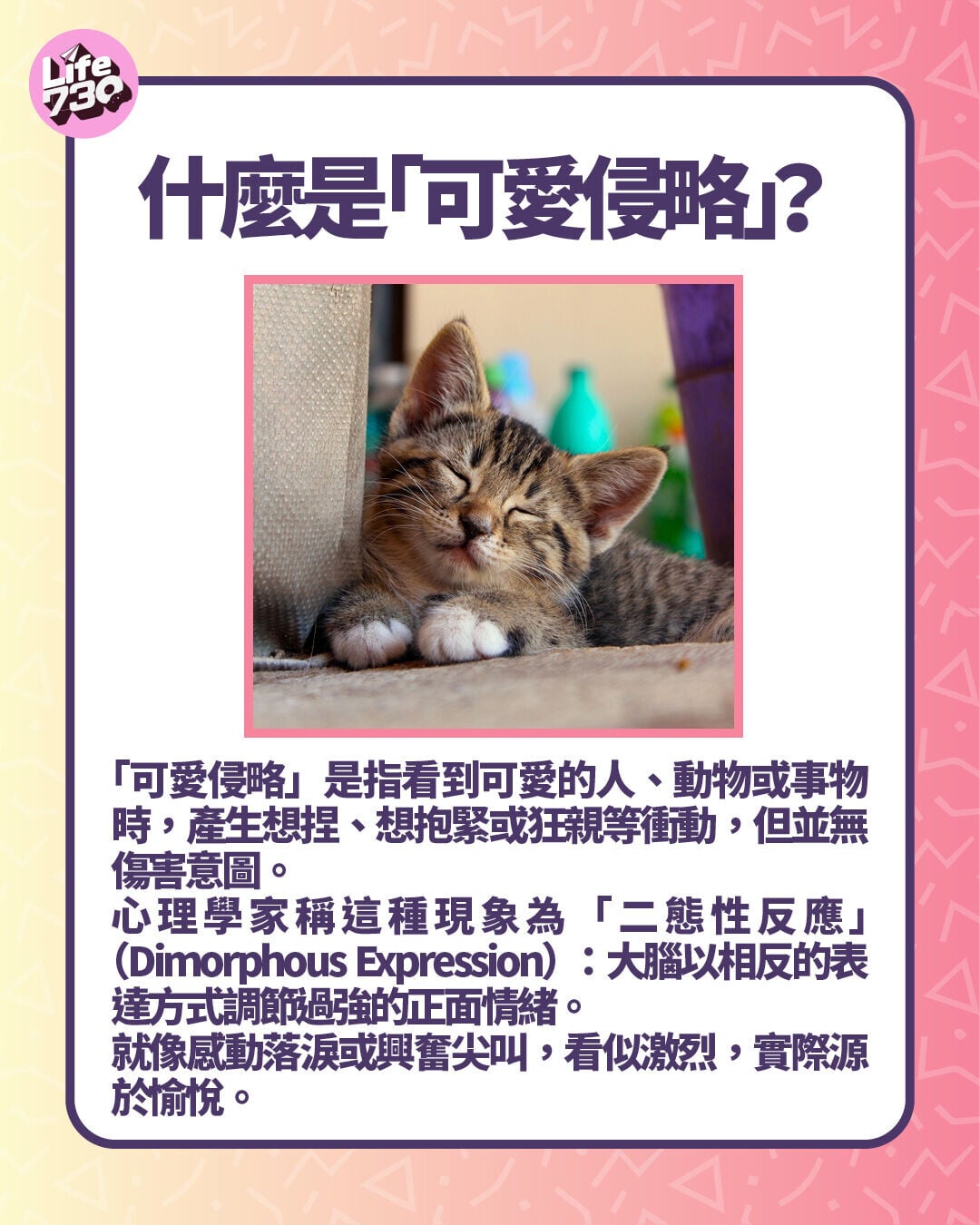 什麼是「可愛侵略」?