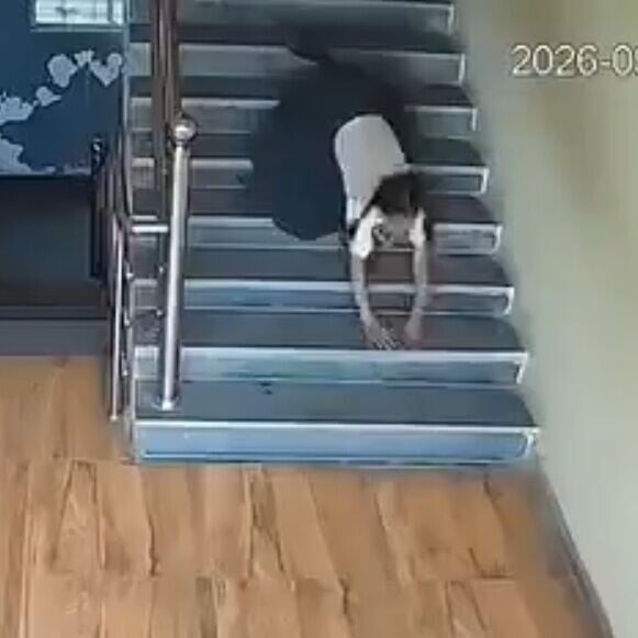 Varnika疑似踩踏到梯面邊緣,隨後失去平衡向前撲倒。(X)