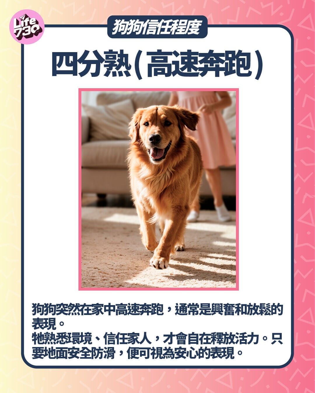 狗狗信任程度:四分熟 (高速奔跑)