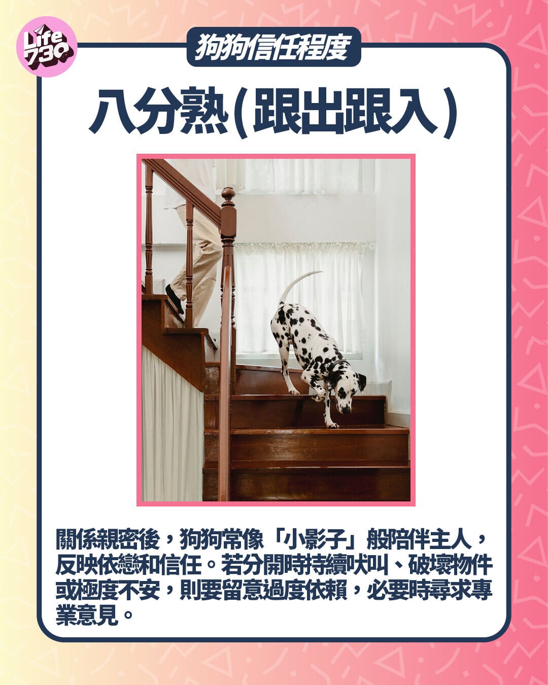 狗狗信任程度:八分熟 (跟出跟入)