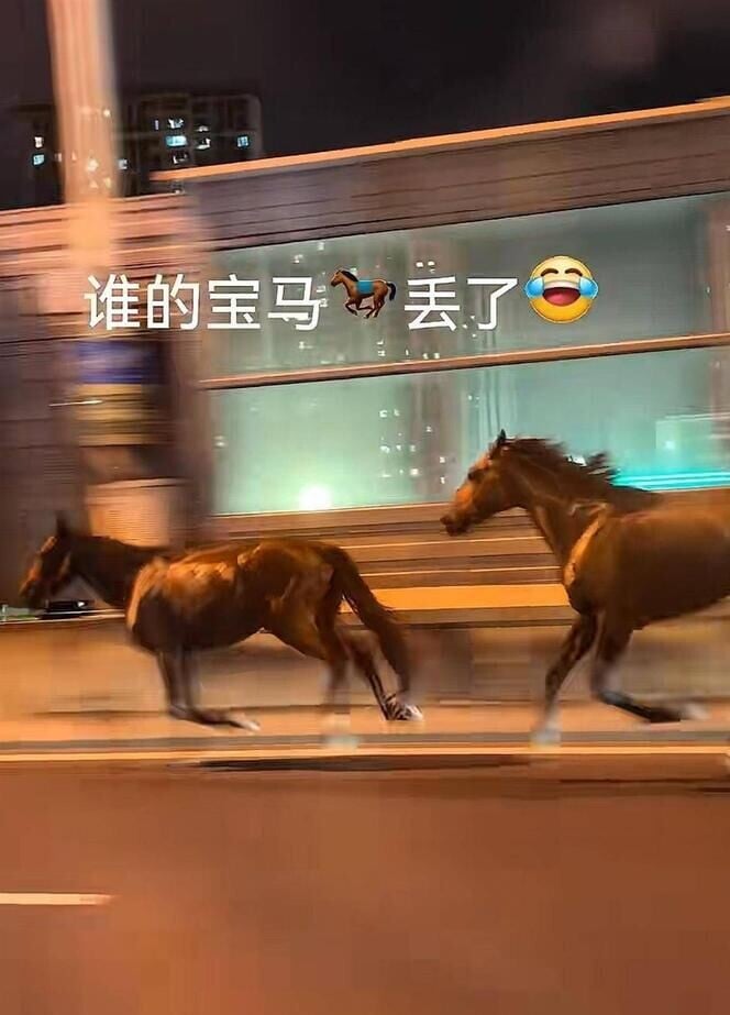 網民笑言「誰的寶馬」