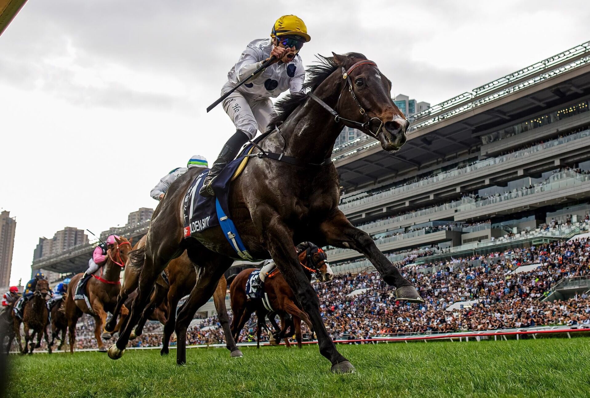 何澤堯與傳奇香港馬王「金鎗六十」合作無間。(賽馬會提供)