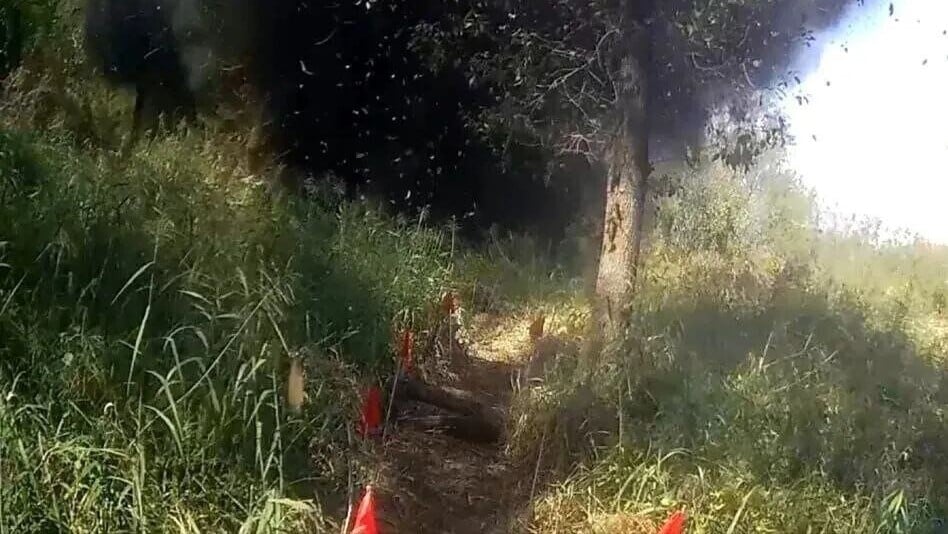 朝鮮半島，南韓軍方首度於非軍事區掃雷，北韓：地雷爆炸事件是南韓抹黑。(X)
