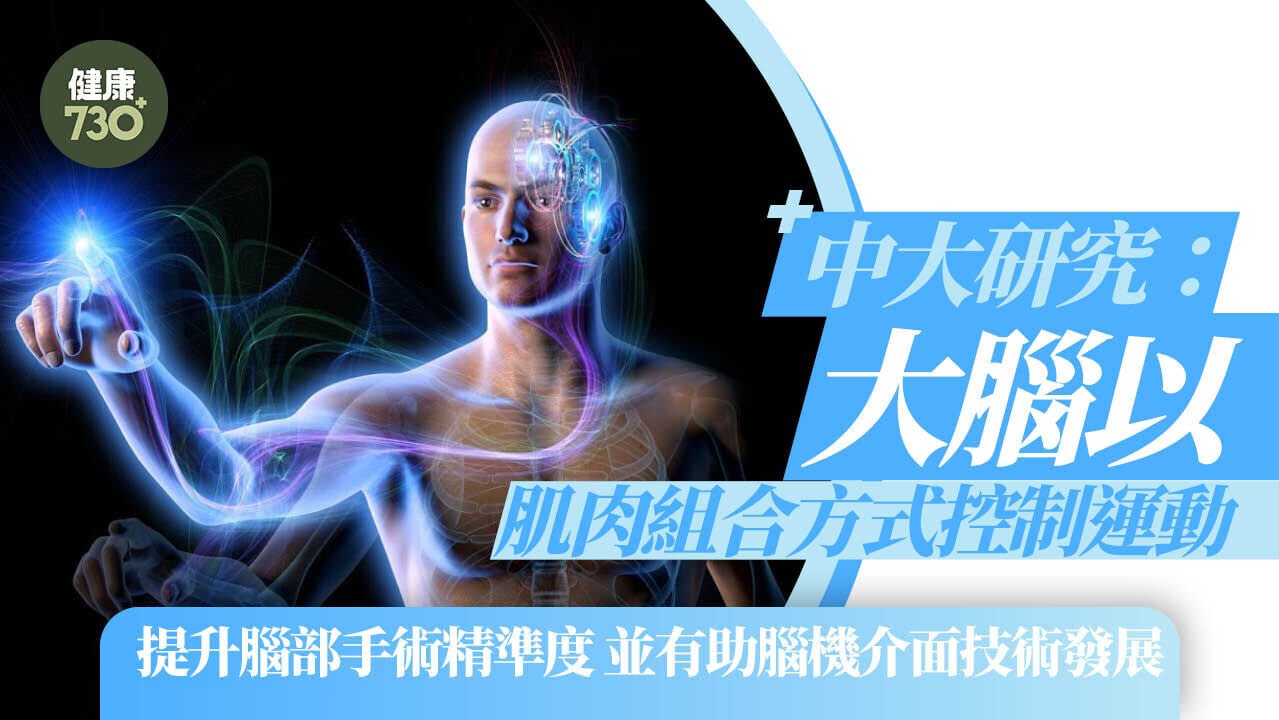 中大研究：大腦以肌肉組合方式控制運動 提升腦部手術精準度 並有助腦機介面技術發展