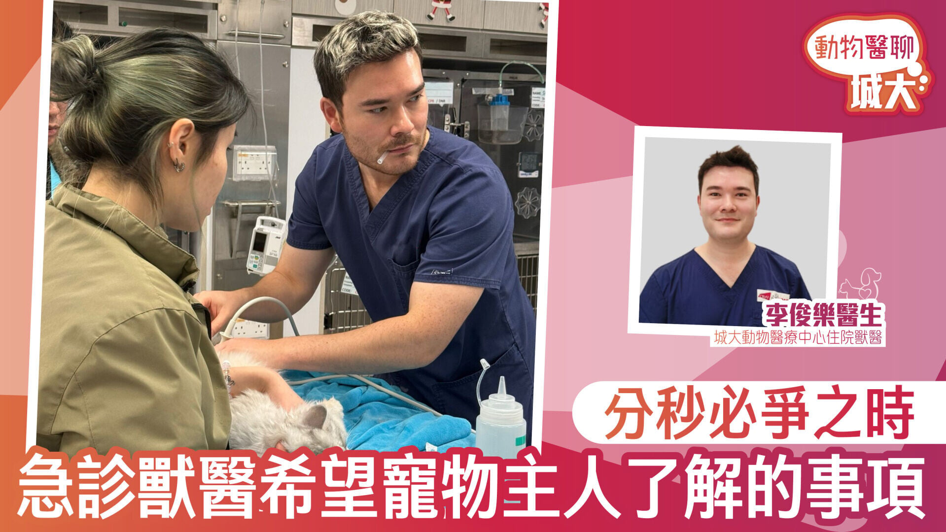 分秒必爭之時：急診獸醫希望寵物主人了解的事項