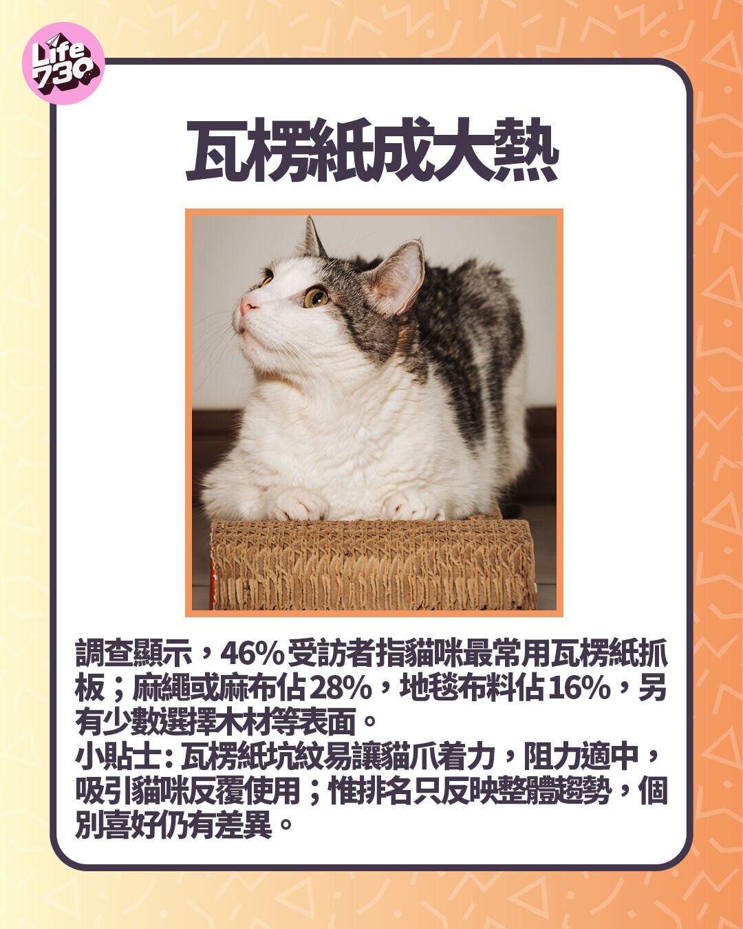 瓦楞紙成大熱 麻製品排第二