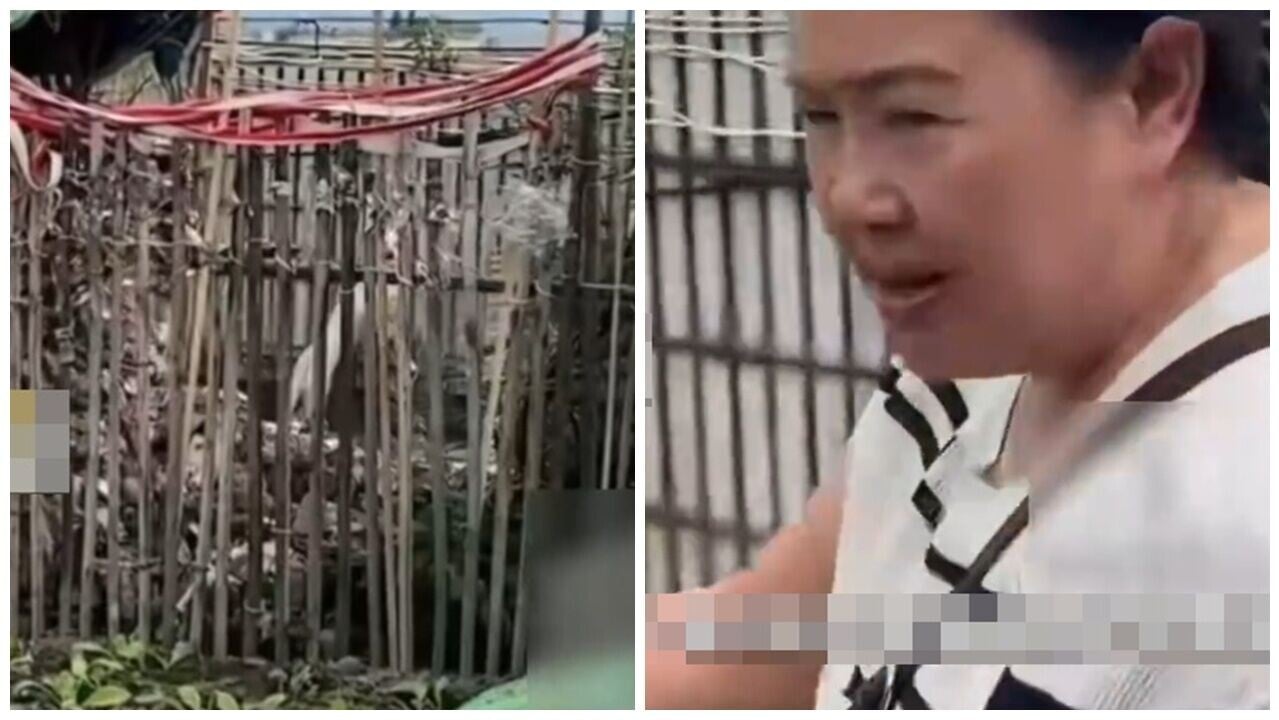 四川女買二手樓天台驚見墳墓，警挖出骸骨鍳定揭真相。(微博)