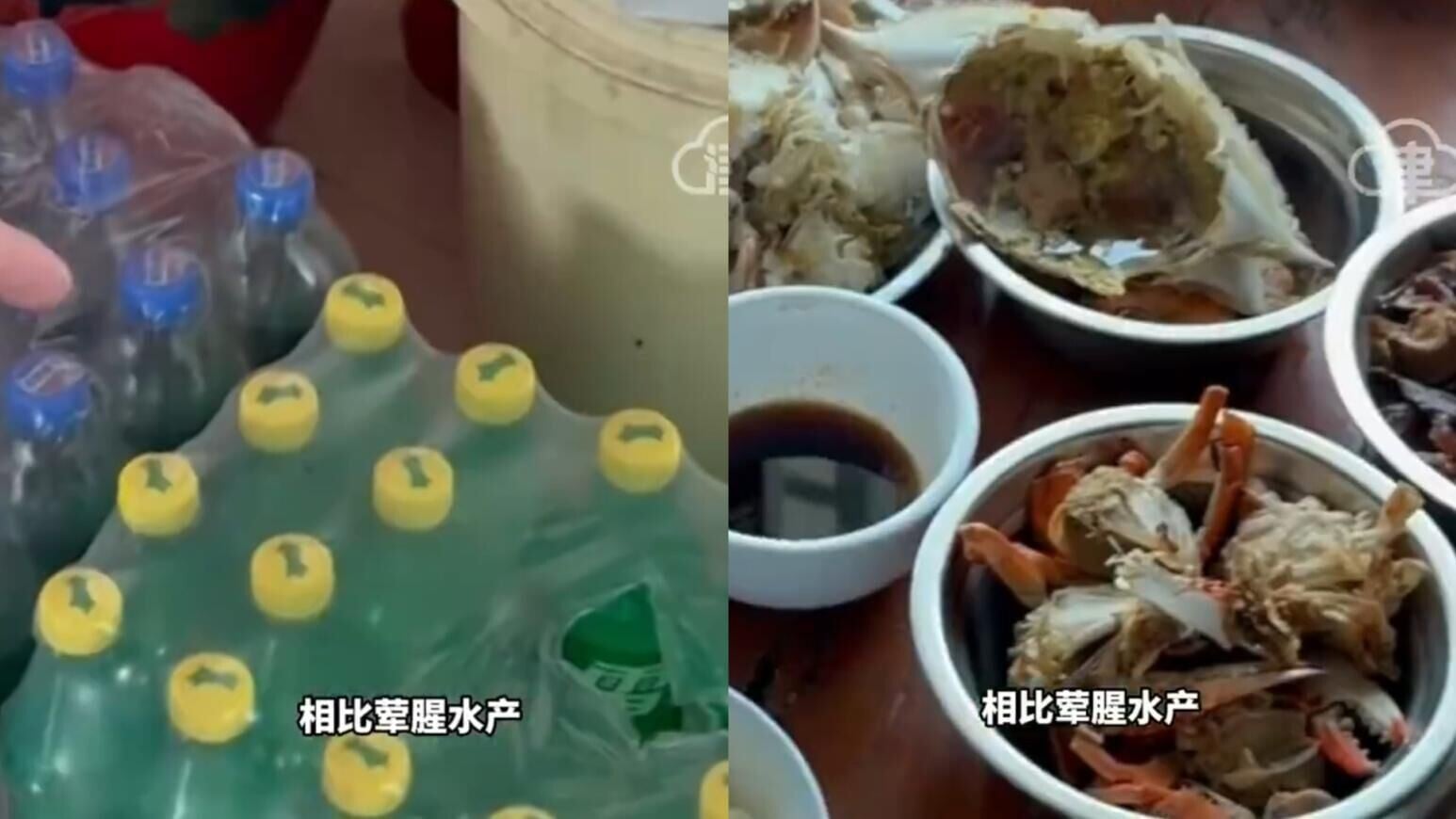 盧式增飲食習慣包括食海鮮和飲汽水