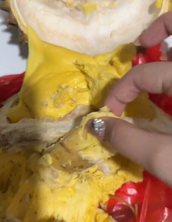熟薯仔被當作果核