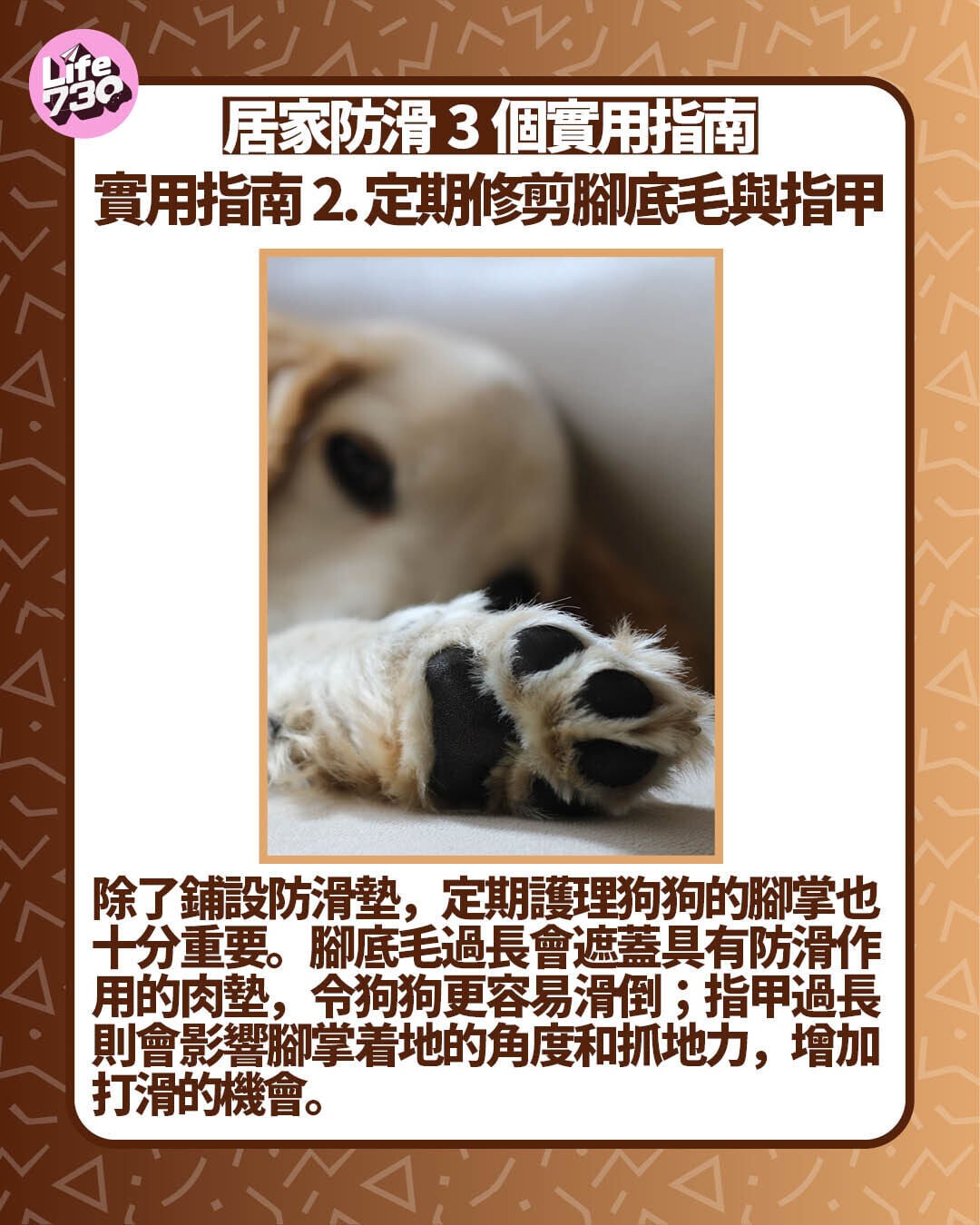 實用指南2. 定期修剪腳底毛與指甲