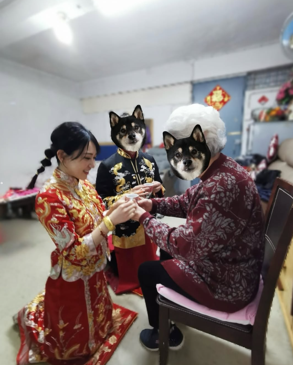 螢幕擷取畫面 2026 10 13 120852