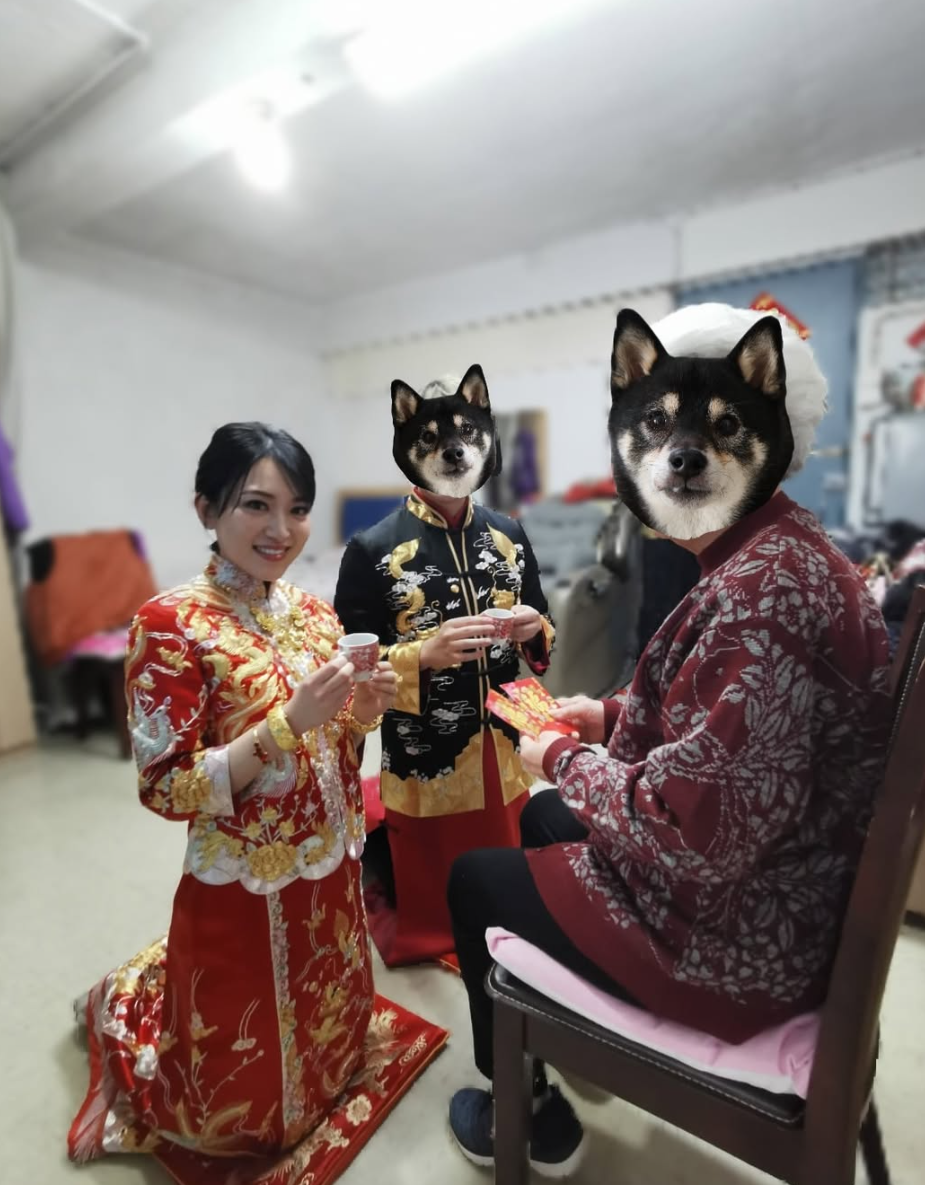 螢幕擷取畫面 2026 10 13 120914