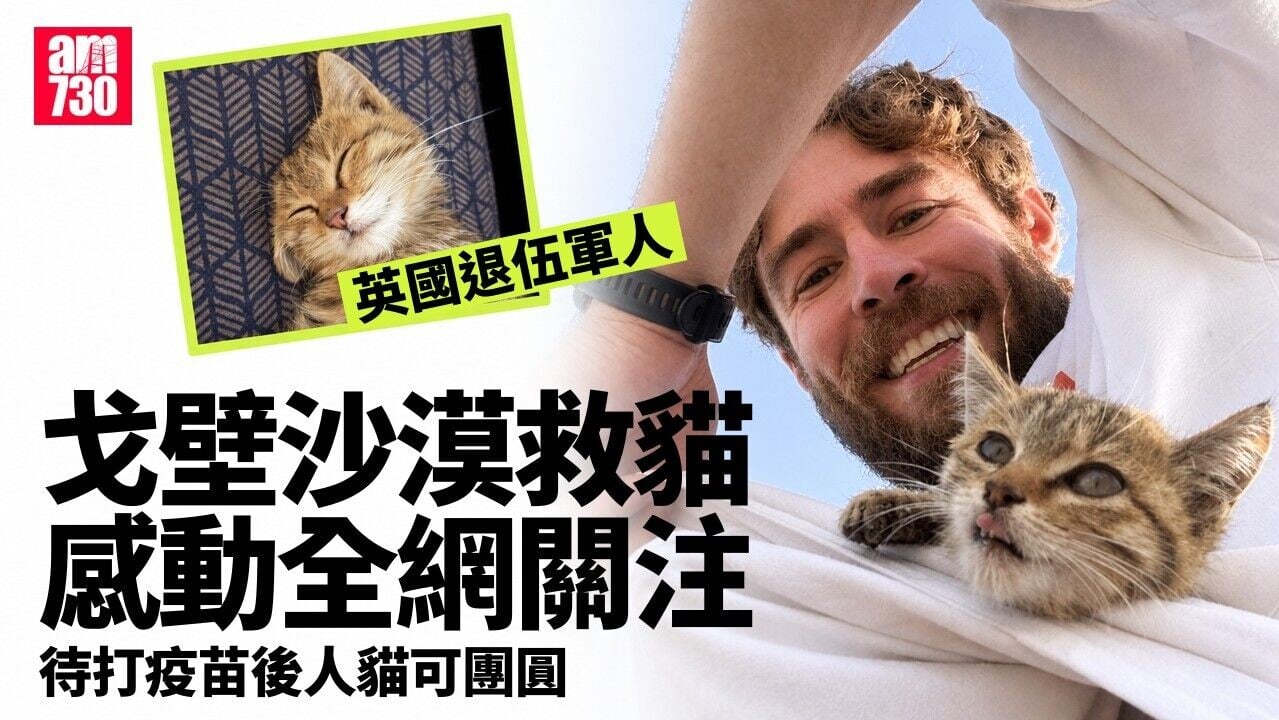 英國跑手戈壁沙漠救流浪貓感動網民 未打疫苗暫人貓未團圓